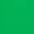 Green Icon